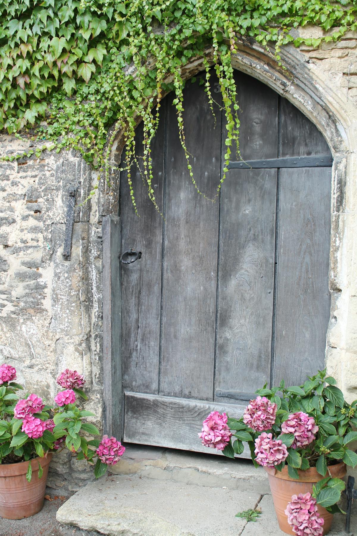 old door in wall with greenery hanging over it